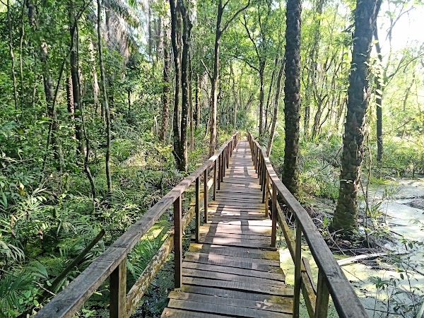Lekki Conservation Centre Road