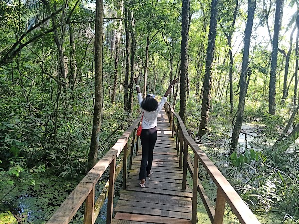 Lekki Conservation Centre Road 4
