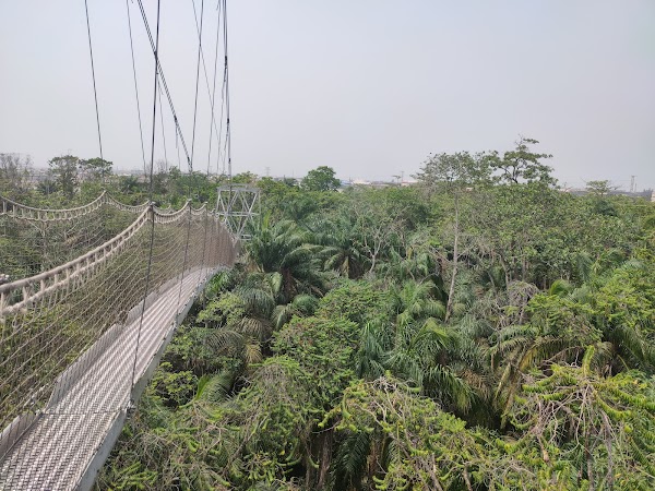 Lekki Conservation Centre Road 3