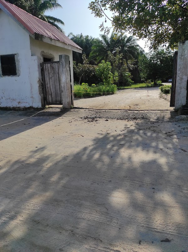 Lekki Conservation Centre Road 2