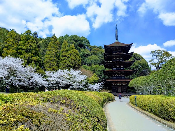 Kozan park 5