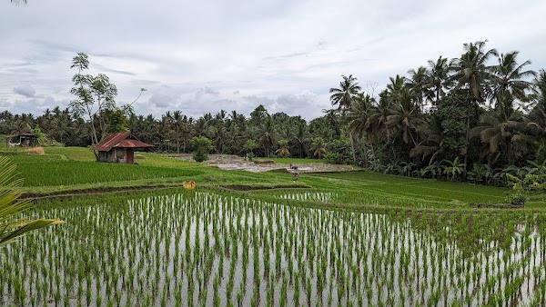 Subak Juwuk Manis