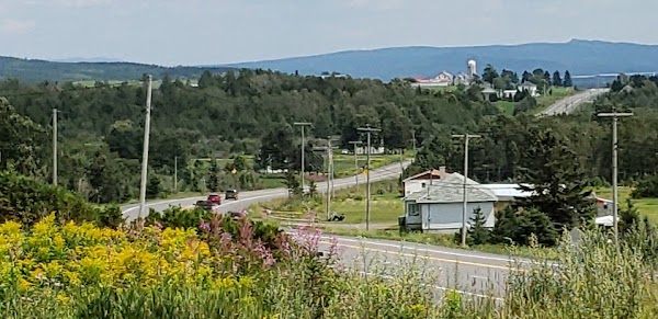 Route 132 3