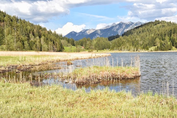 Wagenbrüchsee 4