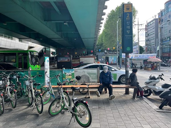 Cherry Blossom 🌸 22