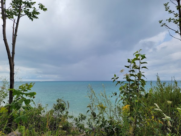 Station Beach Road