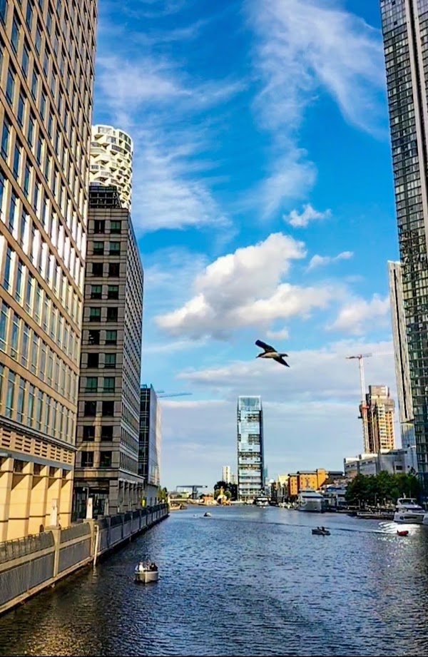 South Dock