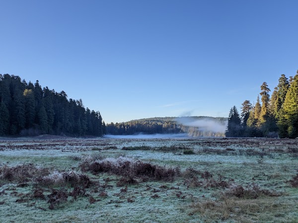 Prairie Creek Redwoods State Park 4