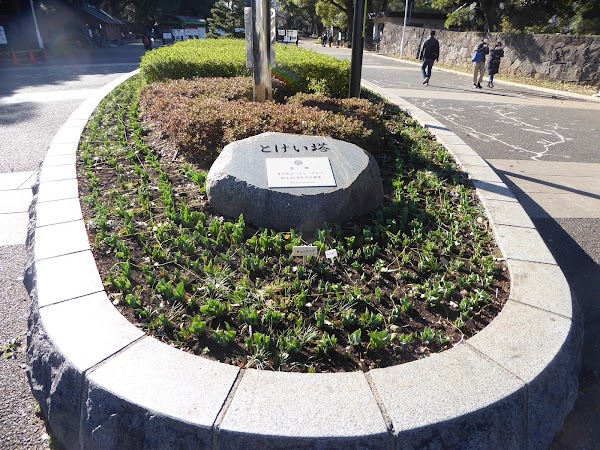 Yoyogi Park Clock Tower 4
