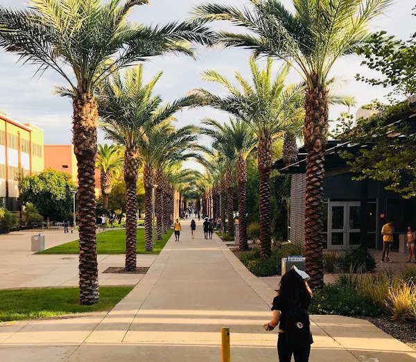Arizona State University