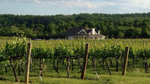 Pollak Vineyards