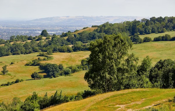 Crickley Hill Country Park 1