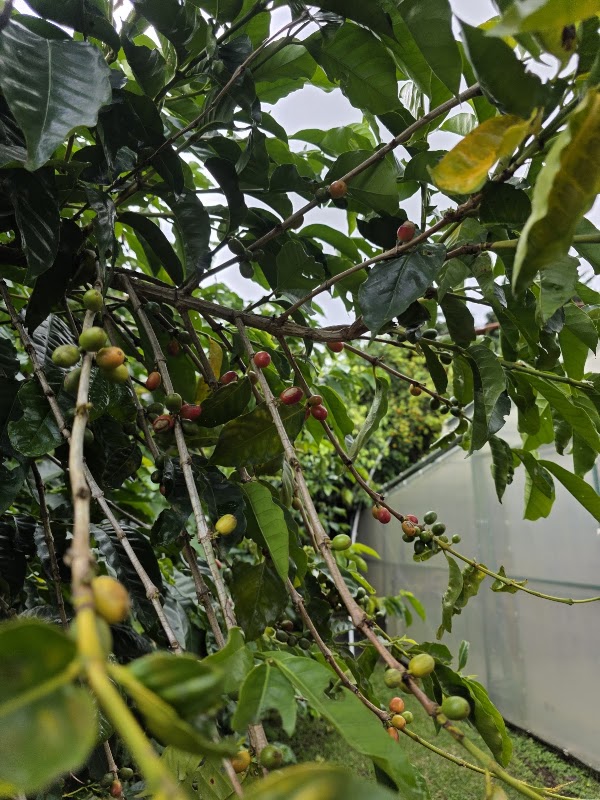 Don Juan Tours Monteverde 4