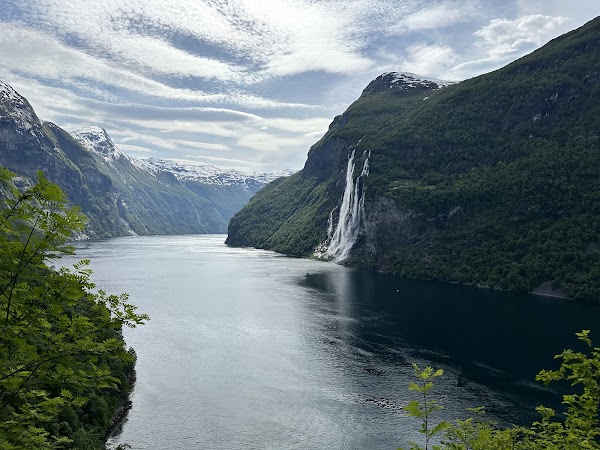 Skageflå