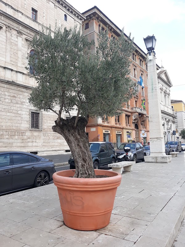 Via della Conciliazione 3