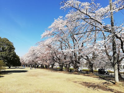 Sayama Inariyama Prefectural Park