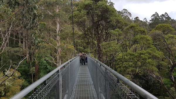 Great Otway National Park 1
