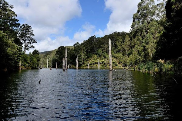 Great Otway National Park 4