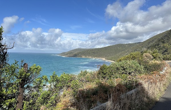 Great Otway National Park 3