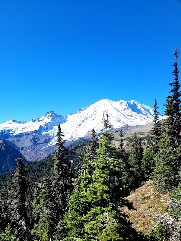 Burroughs Mountain Trail 2
