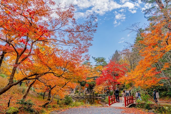 Yahiko Park 5