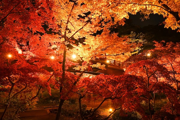 Yahiko Park 4