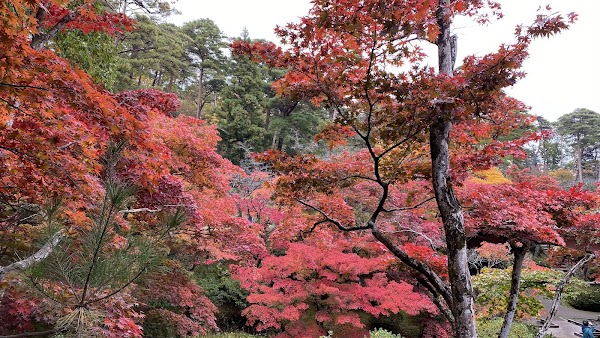 Yahiko Park 3