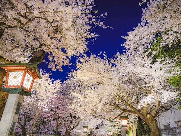 Yahiko Park 2
