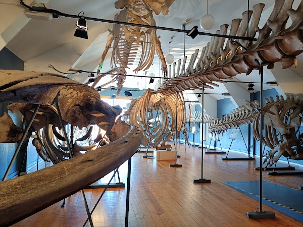 Slottsfjellsmuseet 5