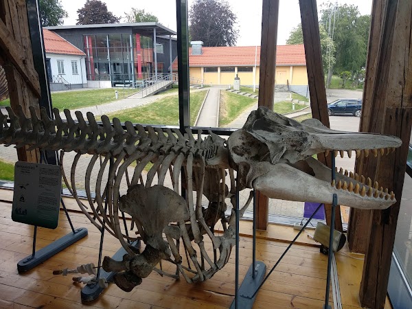 Slottsfjellsmuseet 3
