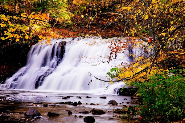 Hikes 31