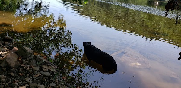 Cheat River 2