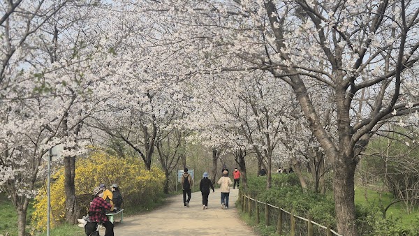 Incheon Grand Park 4