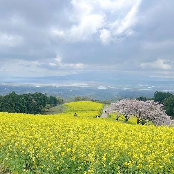 Shirakimine Plateau