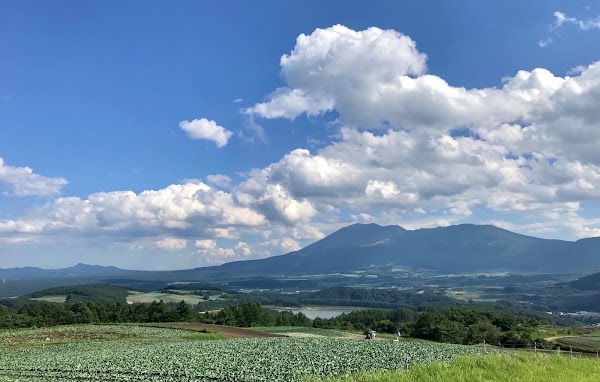 Beloved Wife's Hill 4