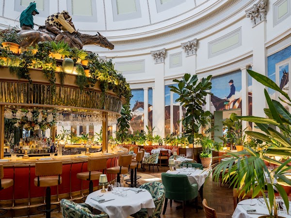 The Ivy Montpellier Brasserie Cheltenham 1