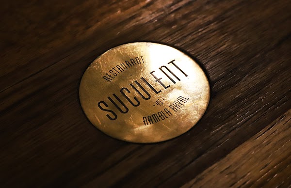 Suculent 3