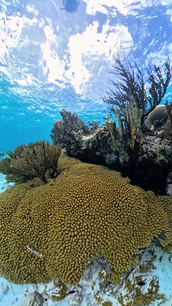 Klein Bonaire 4