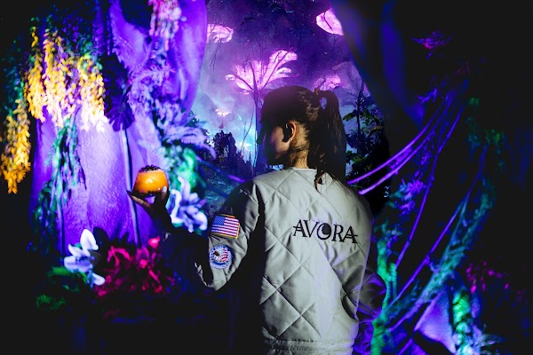 Avora London: A New-World Cocktail Experience 4
