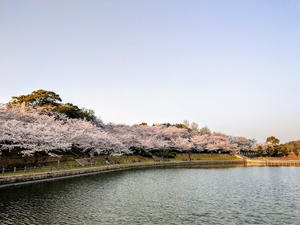 Fujiyama Health and Culture Park