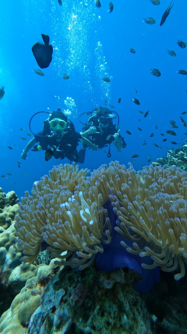 La Bombona Diving - Scuba Diving Center - Koh Tao - Thailand 4