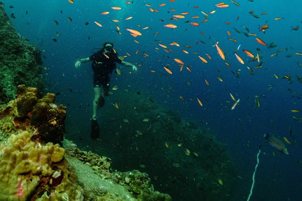 La Bombona Diving - Scuba Diving Center - Koh Tao - Thailand 2