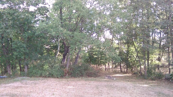 Myers Corner