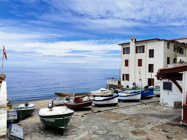 Le vieux port