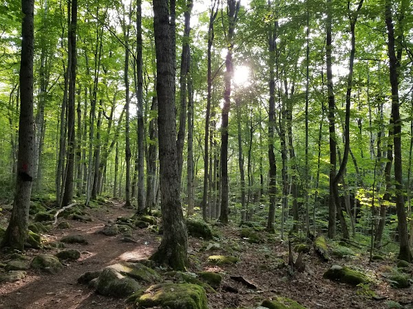 Bruce's Caves Conservation Area 4