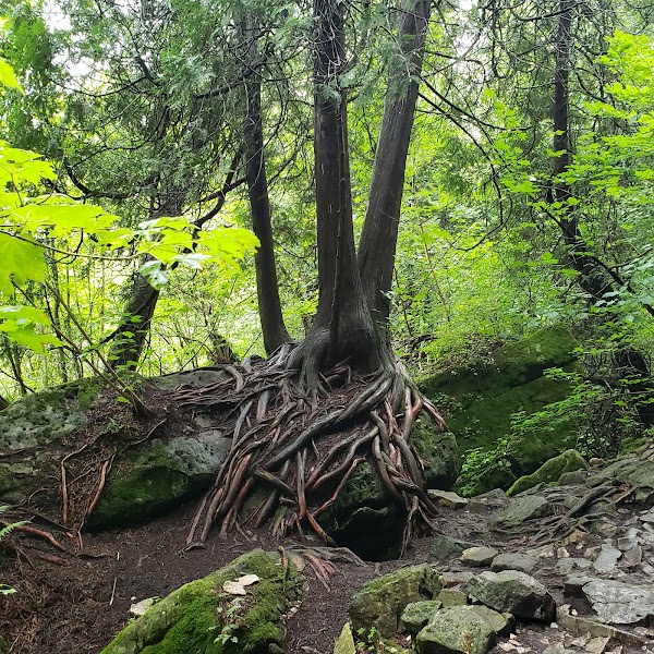 Bruce's Caves Conservation Area 2
