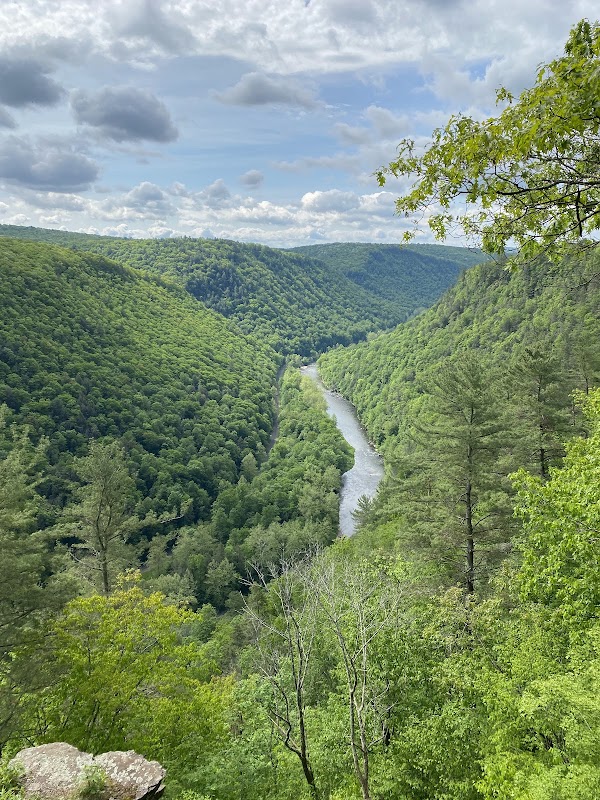 Pine Creek Gorge