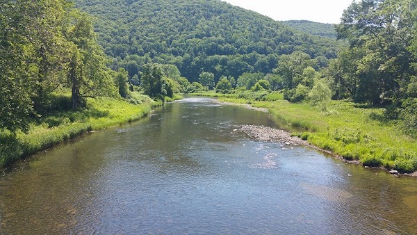 Pine Creek Gorge 5