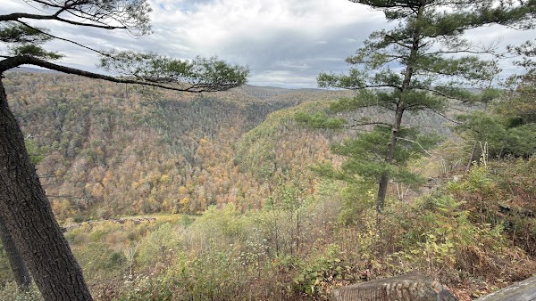 Pine Creek Gorge 4