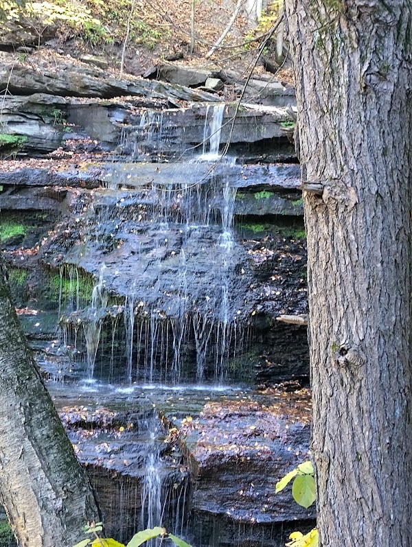 Pine Creek Gorge 3